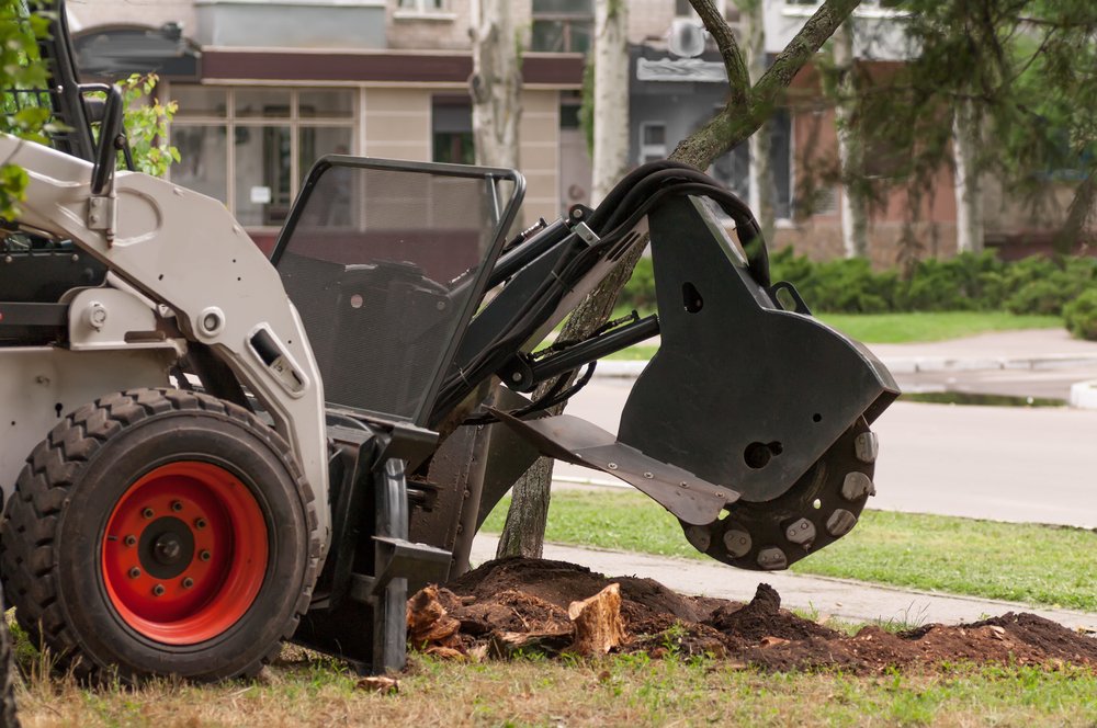 tree removal near me