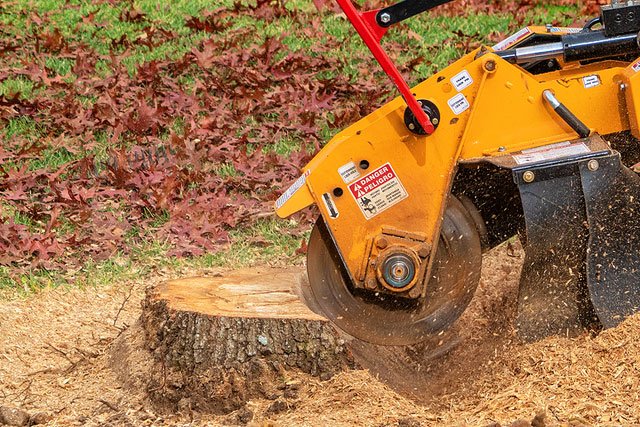 tree removal connecticut