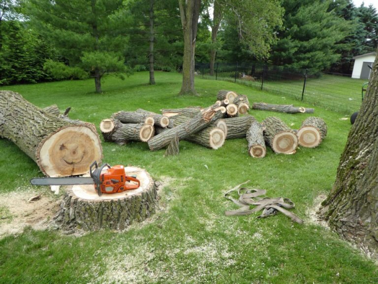 milford ct tree removal