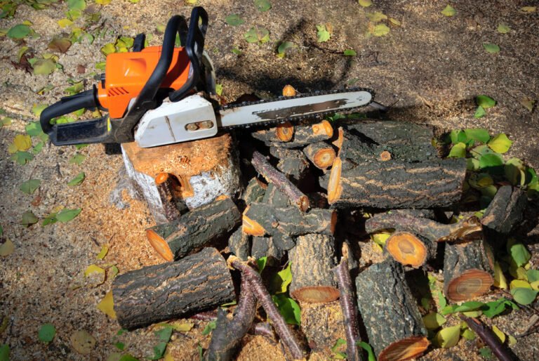 tree removal new fairfield ct